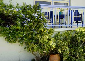 Huur Appartementen Cas Grandi
