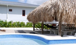 Ruime Huur Appartementen Brakkeput Abou