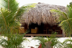 Vakantie Bungalow Jongbloed