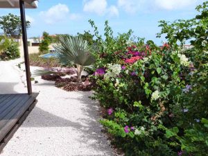 Vakantie Minicomplex Welcome