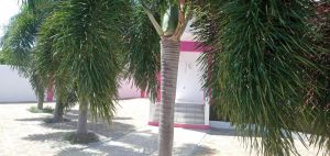 Huurwoning Sunset Heights met zwembad