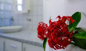 Huurwoning Sunset Heights met zwembad