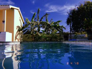 Huur Appartementen Dominguito
