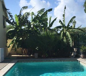 Huur Appartementen Dominguito