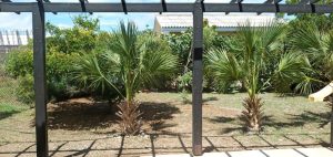 Huur Woning Santa Catharina The Pearl