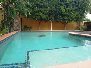 Huur Appartement Jan Thiel