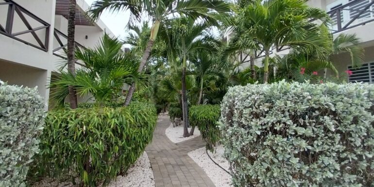 Huurappartement resort Salina Abou