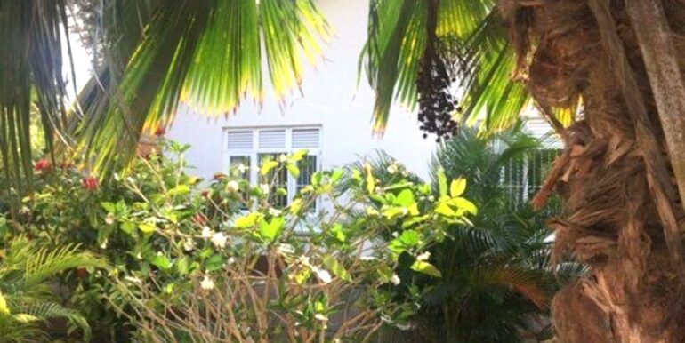 Huurwoning Damacor met zwembad