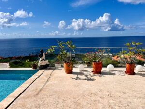 Luxe Koopvilla Coral Estate met view