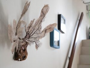 Splitlevel huurappartement Cas Grandi